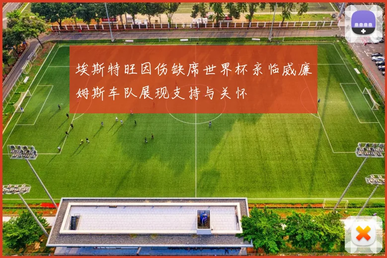 埃斯特旺因伤缺席世界杯亲临威廉姆斯车队展现支持与关怀