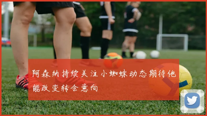 阿森纳持续关注小蜘蛛动态期待他能改变转会意向