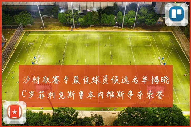 沙特联赛季最佳球员候选名单揭晓C罗菲利克斯鲁本内维斯争夺荣誉