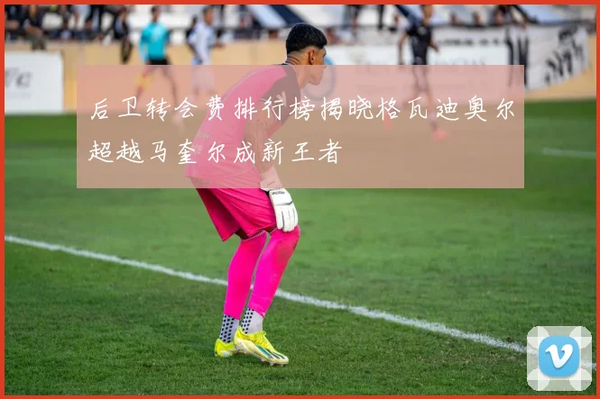 后卫转会费排行榜揭晓格瓦迪奥尔超越马奎尔成新王者
